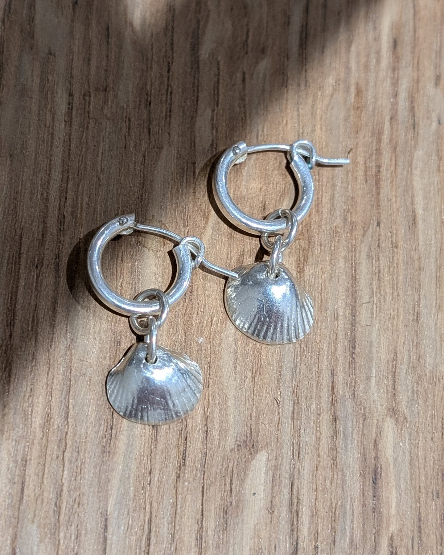 Silver Cockle shell huggies