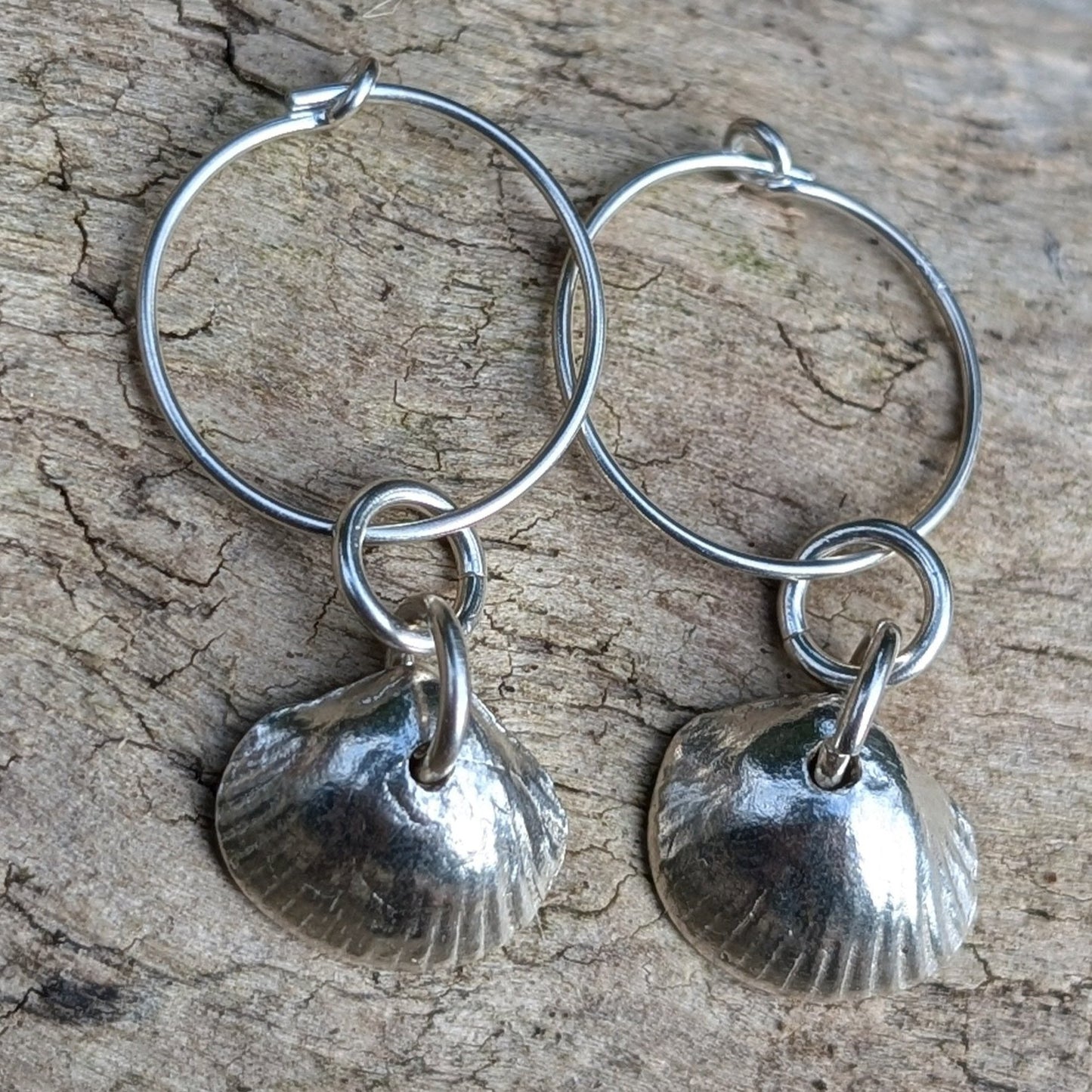 Silver Cockle shell hoops