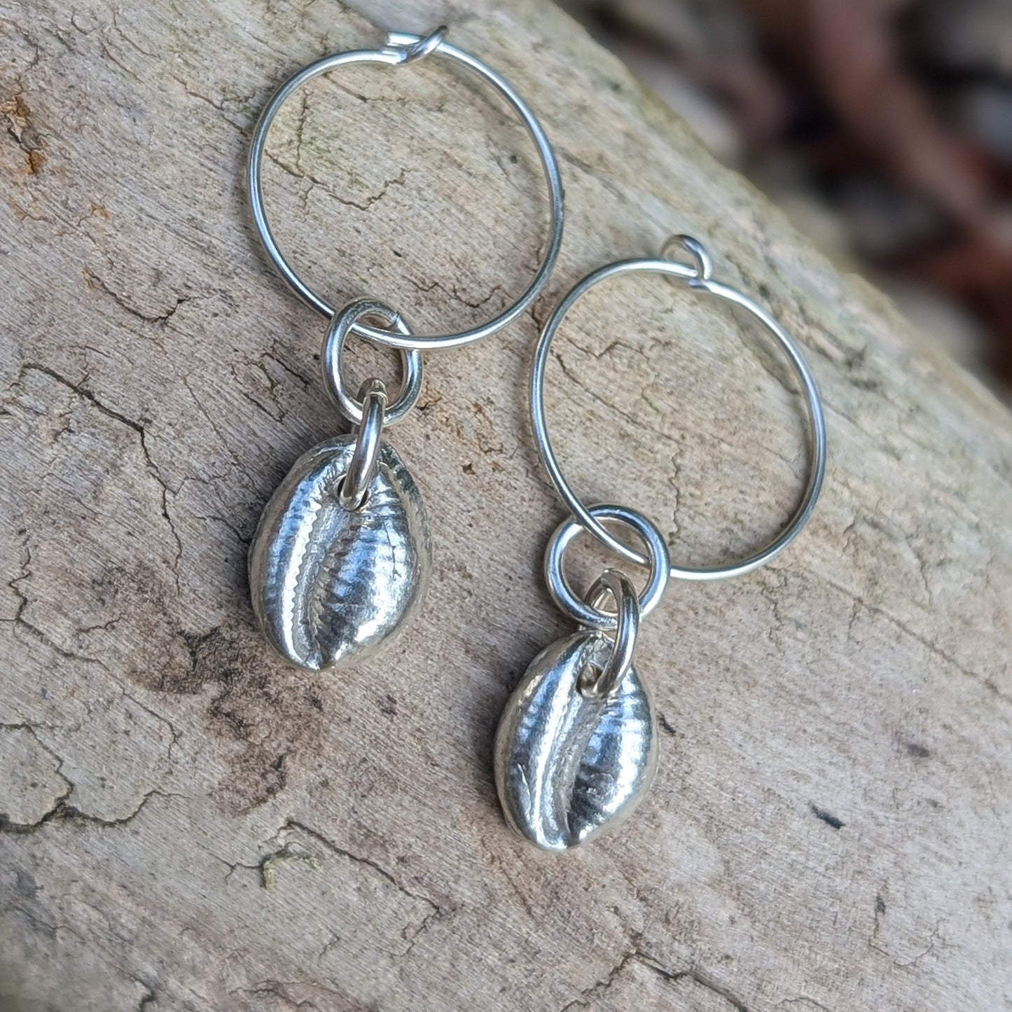 Silver Cowrie shell hoops