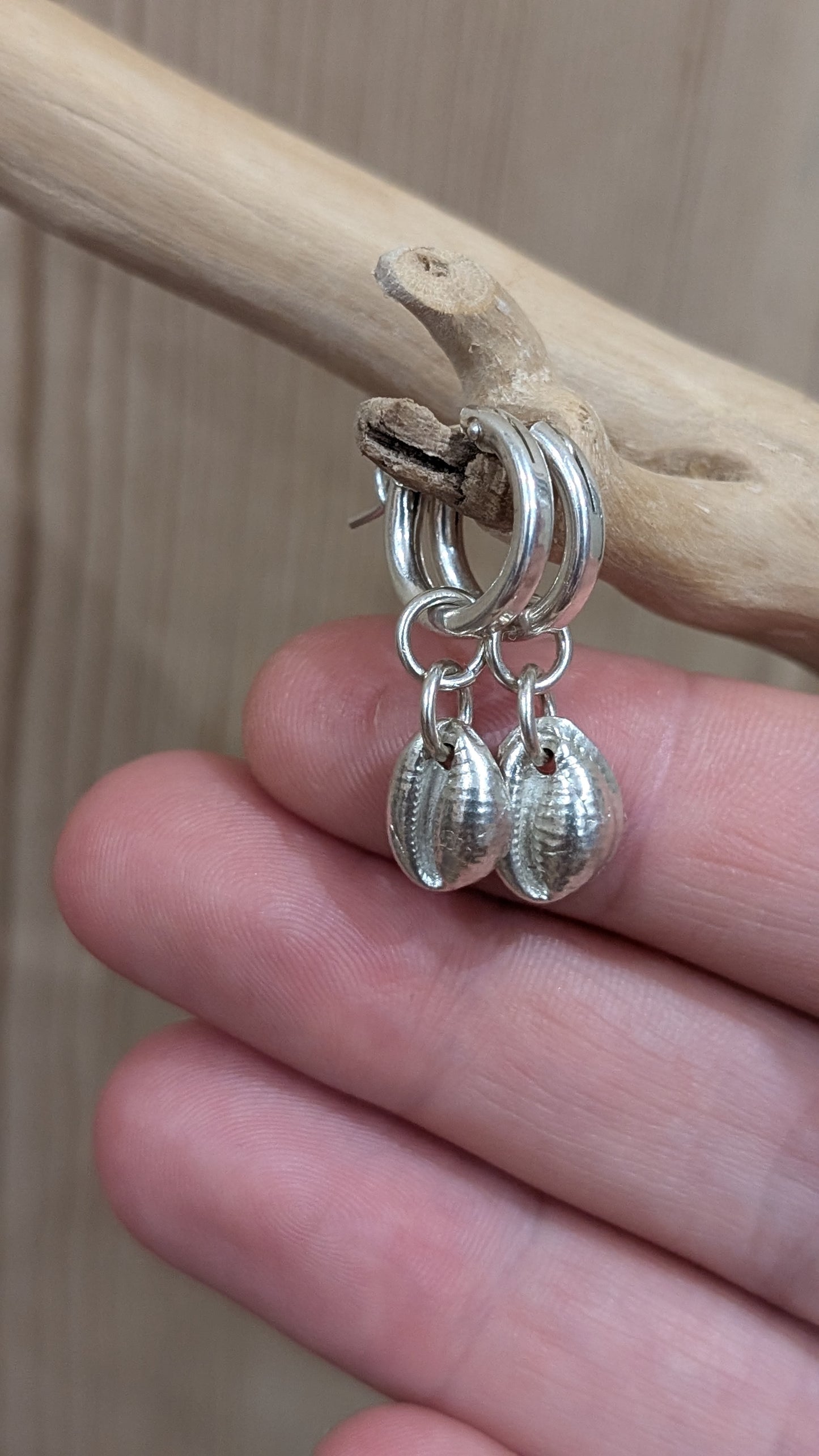 Silver Cowrie shell huggies