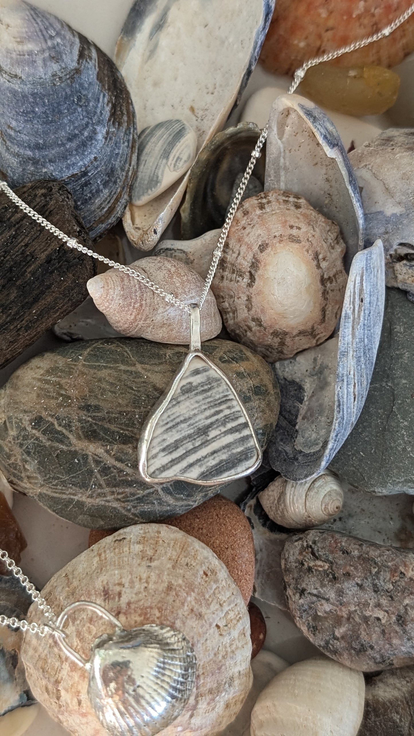 Shell with silver bezel pendant with chain
