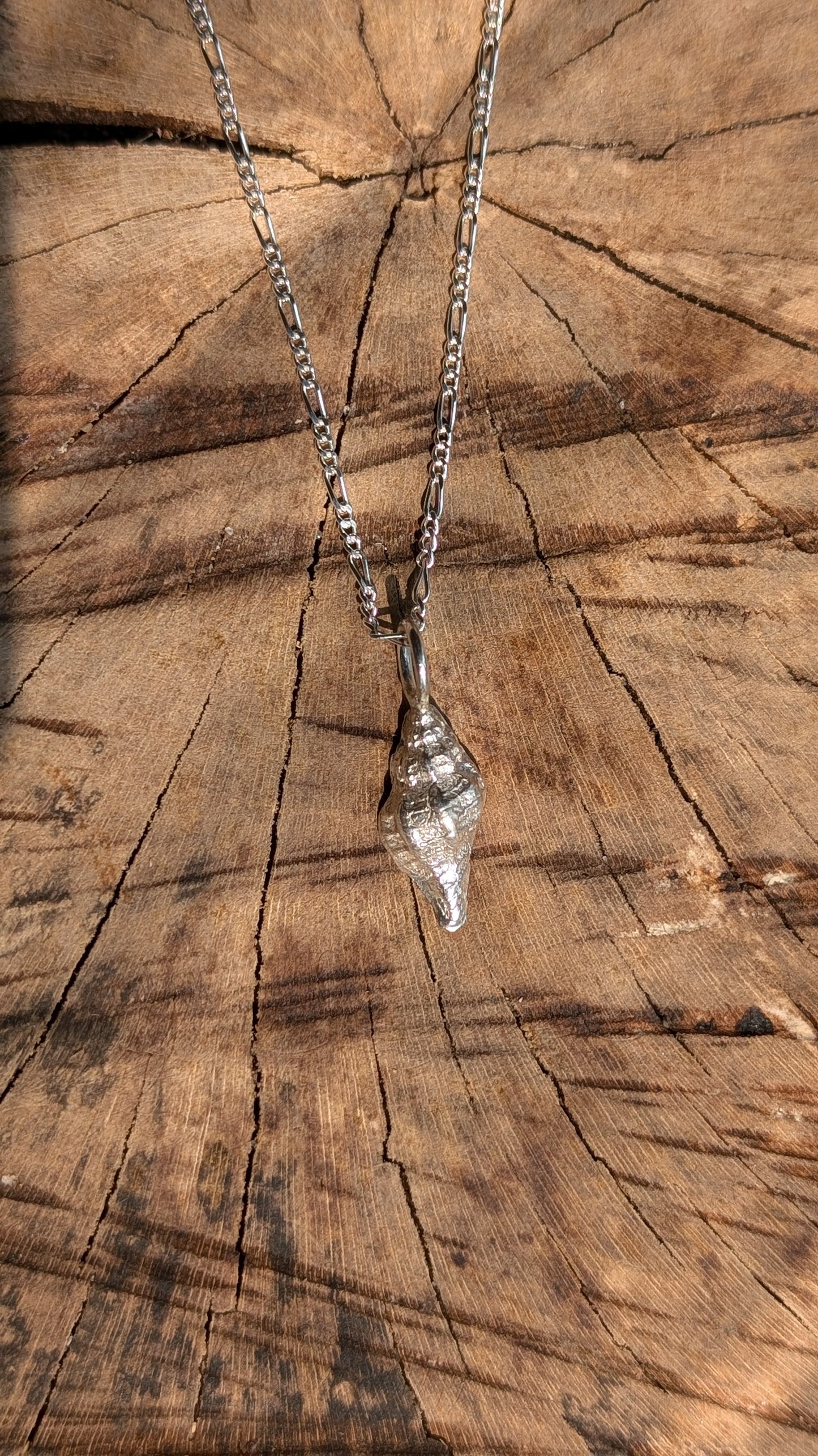 Small shell solid silver pendant and chain