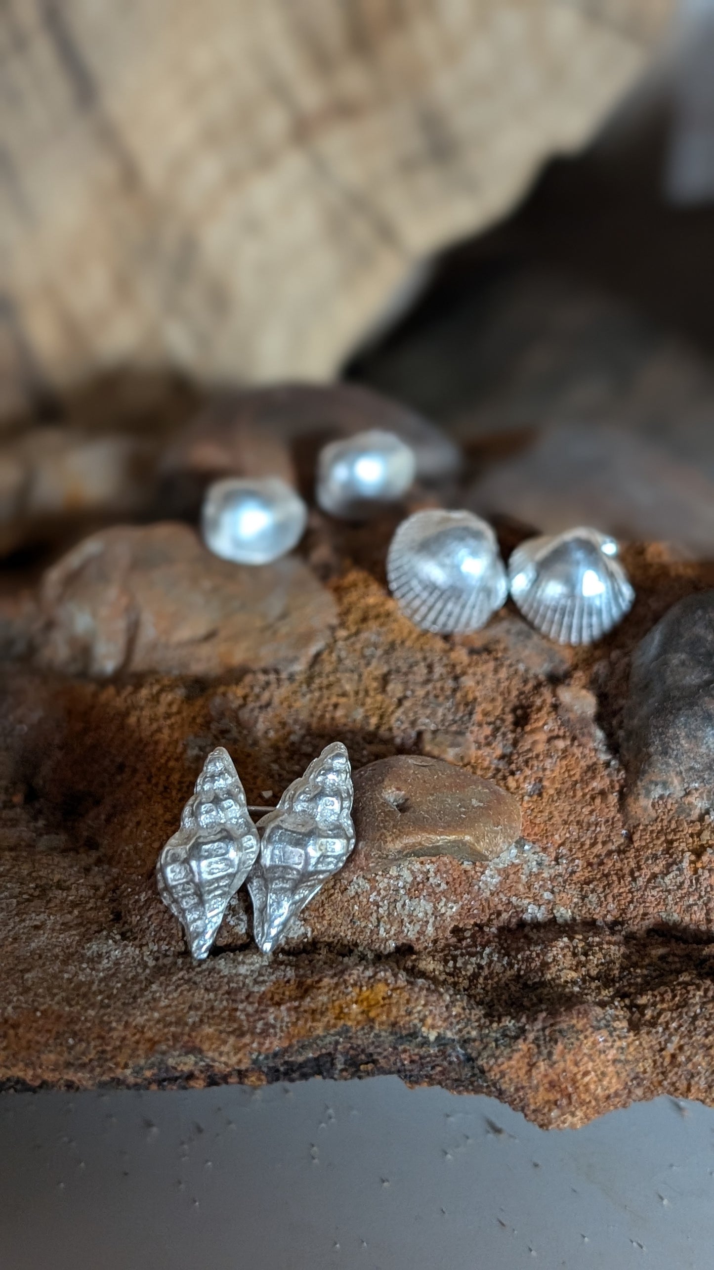 Small Silver shell stud earrings