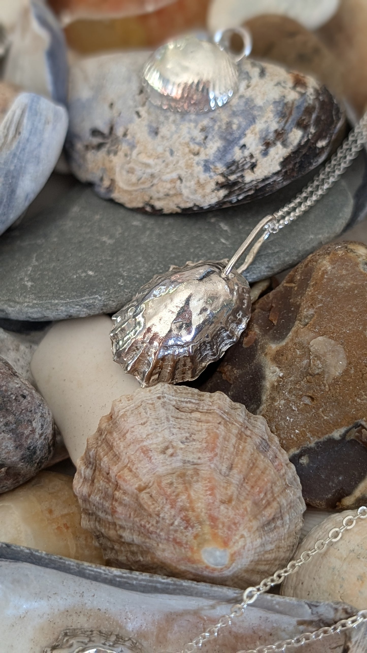Limpet shell solid silver pendant and chain