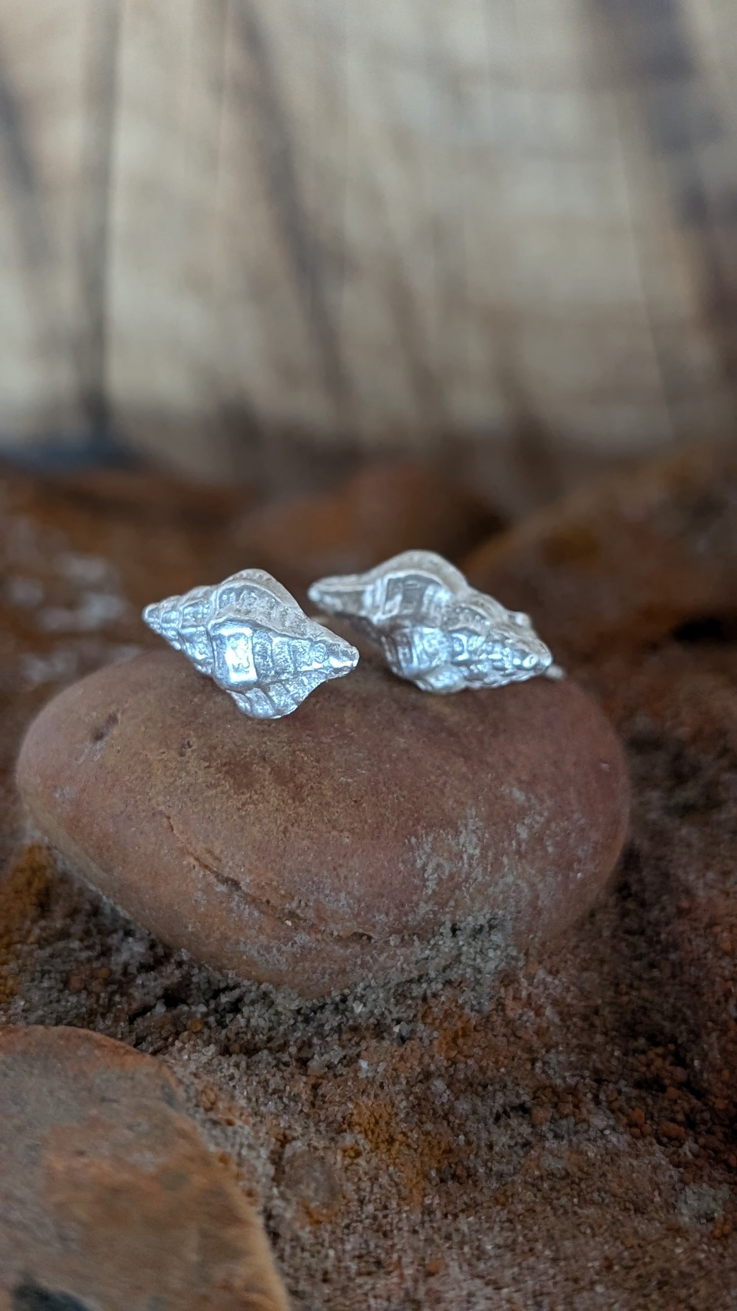 Small Silver shell stud earrings
