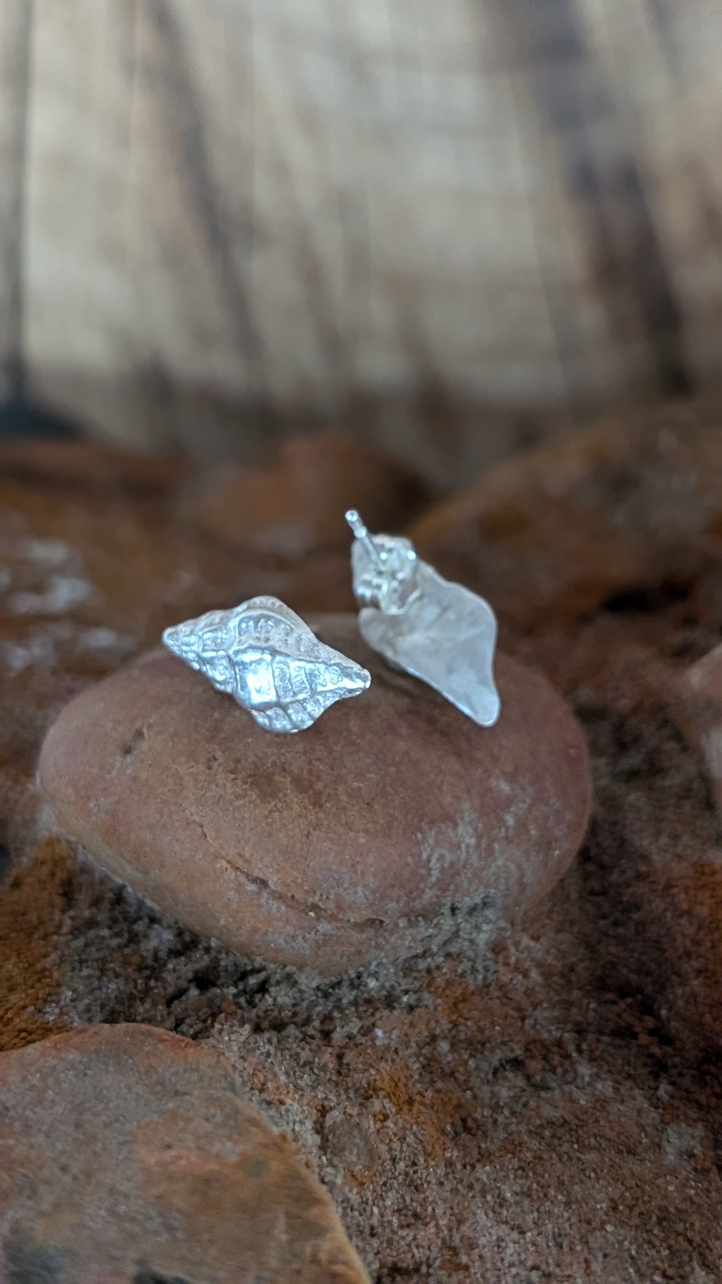 Small Silver shell stud earrings