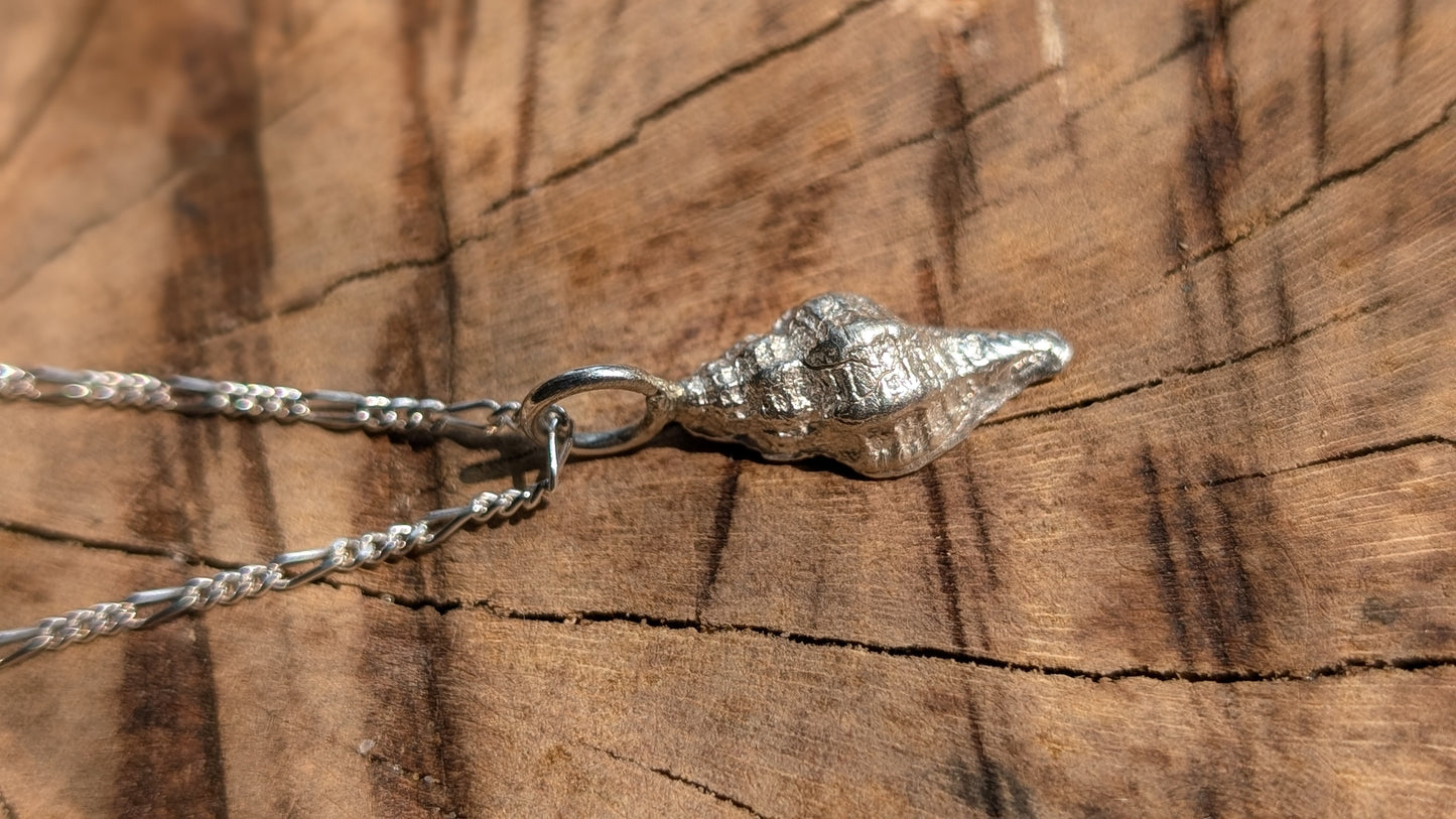 Small shell solid silver pendant and chain
