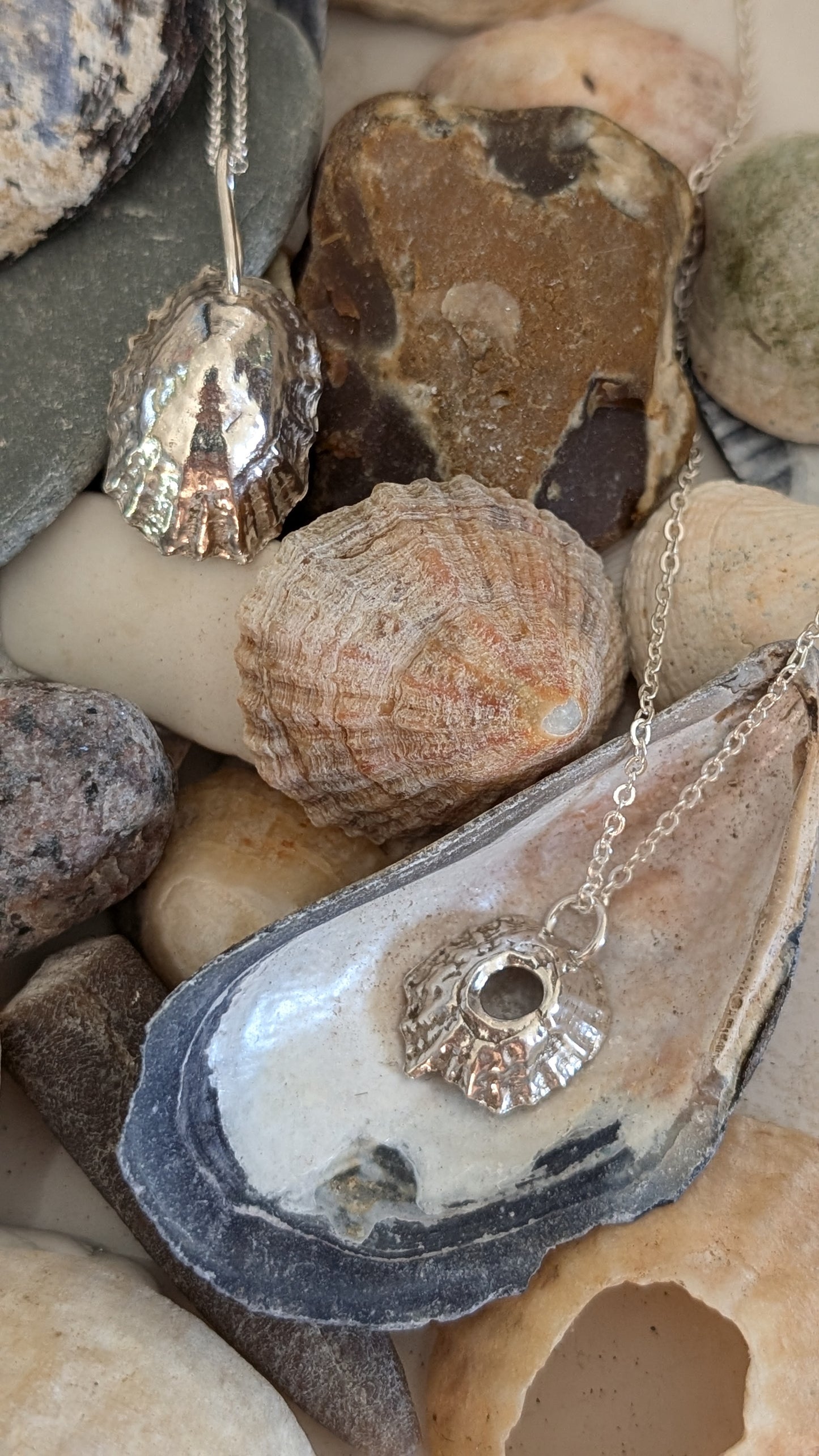 Open Barnacle shell solid silver pendant and chain