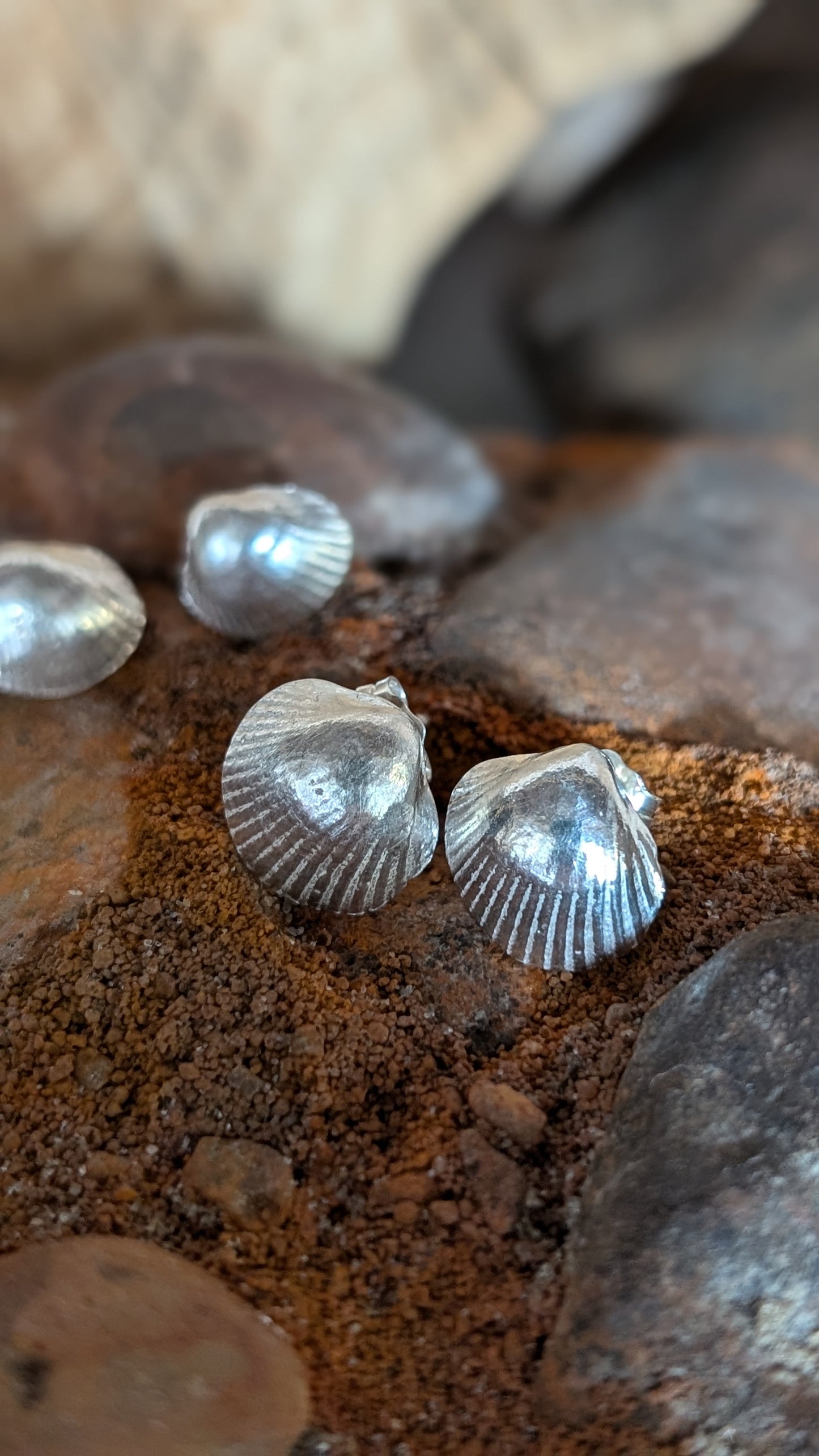 Medium Silver cockle shell stud earrings