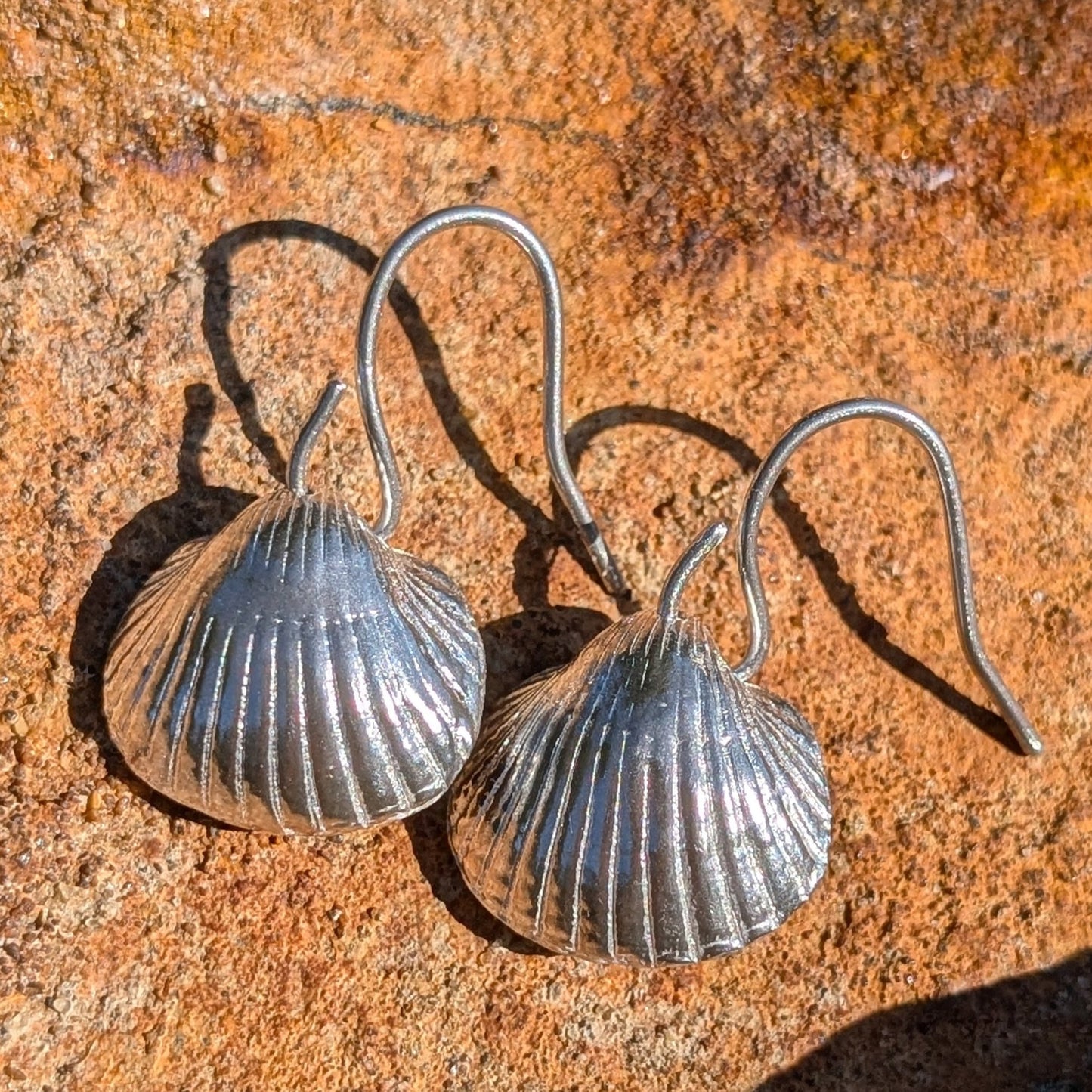 Silver cockle shell earrings