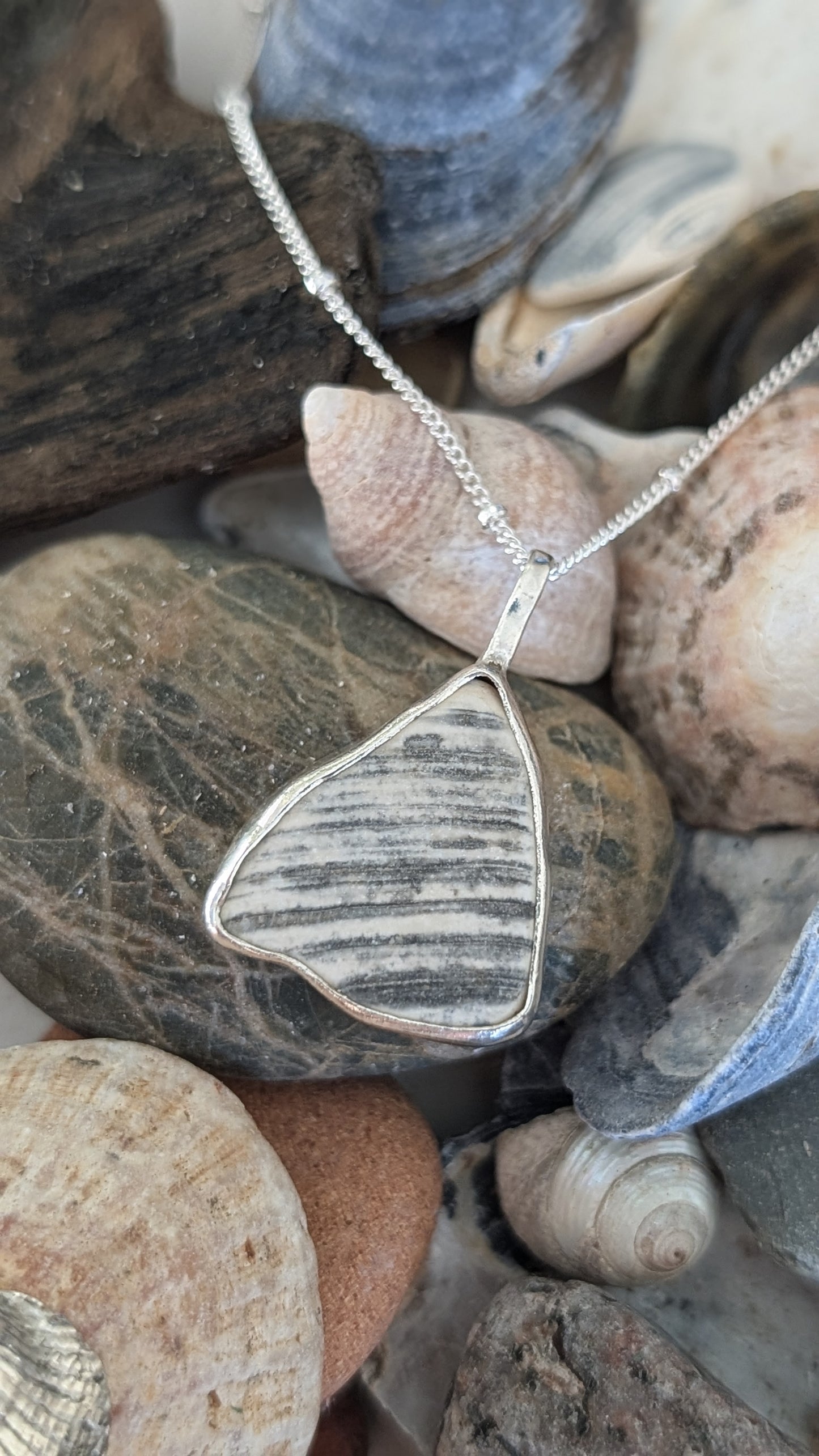 Shell with silver bezel pendant with chain