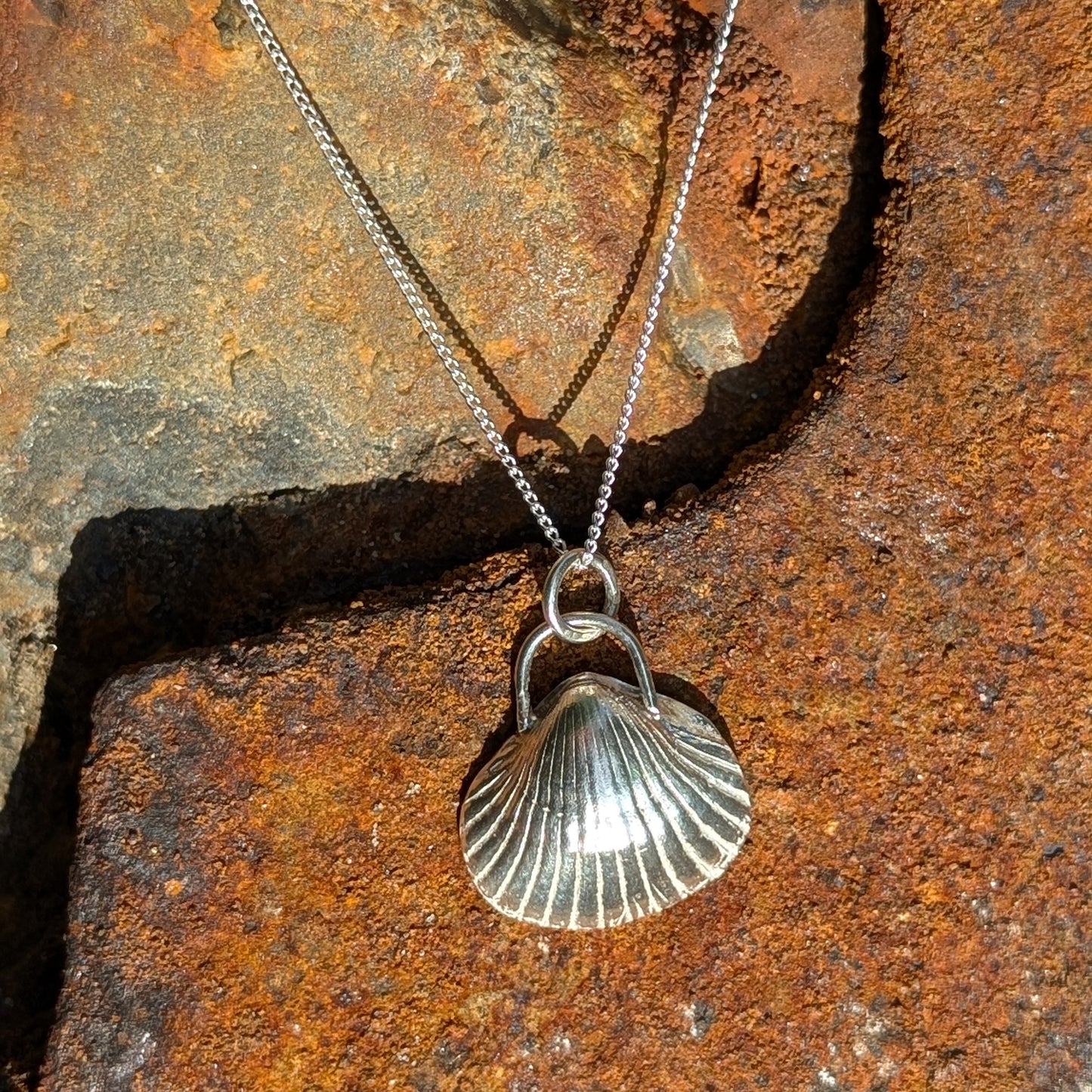 Cockle shell solid silver pendant and chain