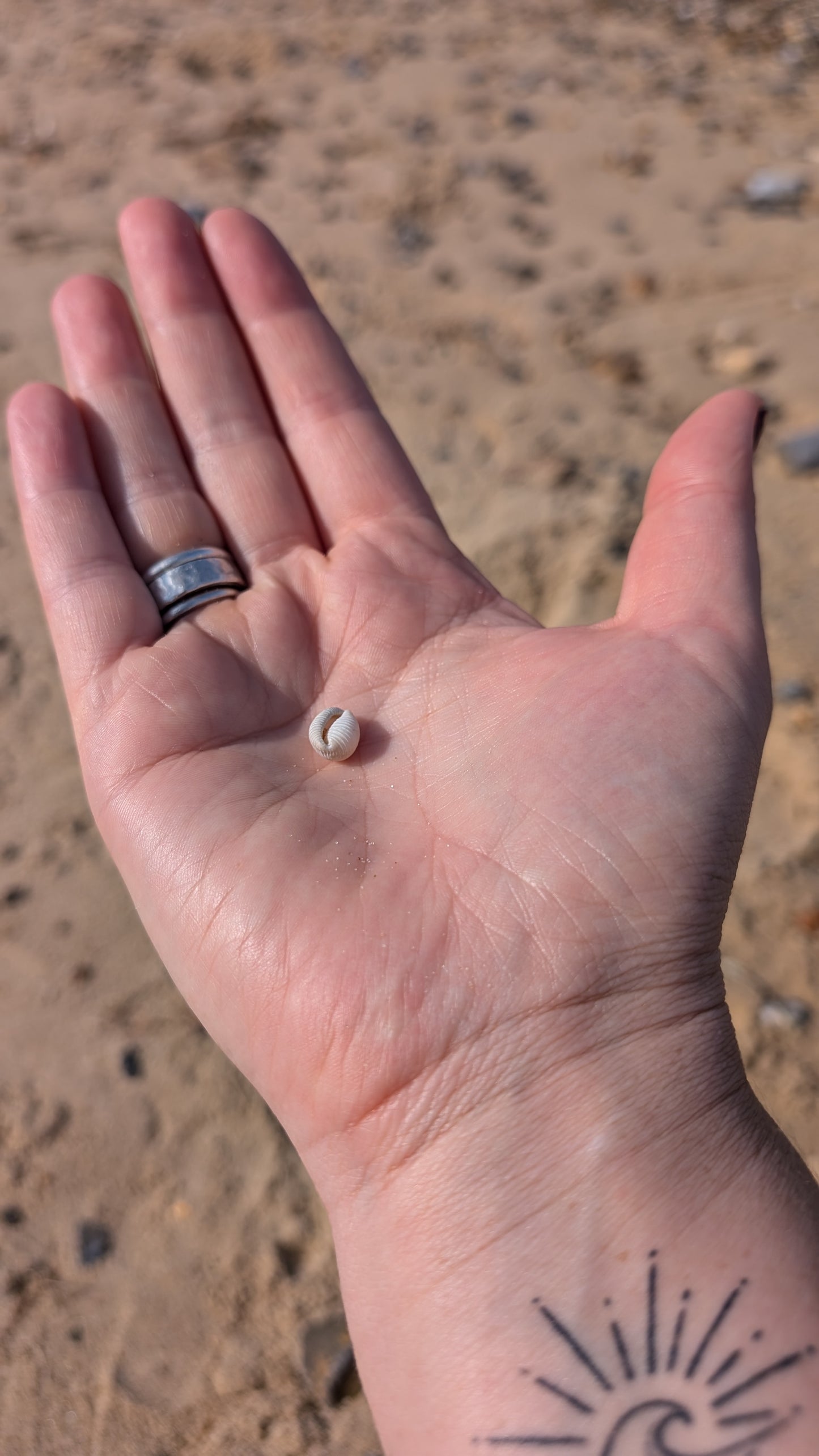 Cowrie shell silver ring